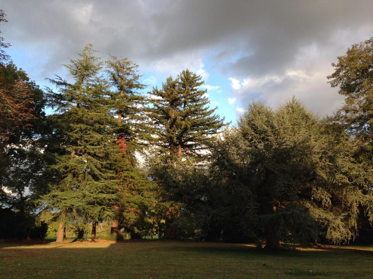 La Sabatiere Villa Bergerac Kültér fotó